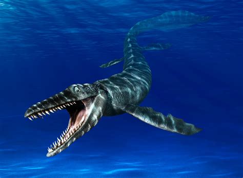 mosasaurus dinosaur examples.